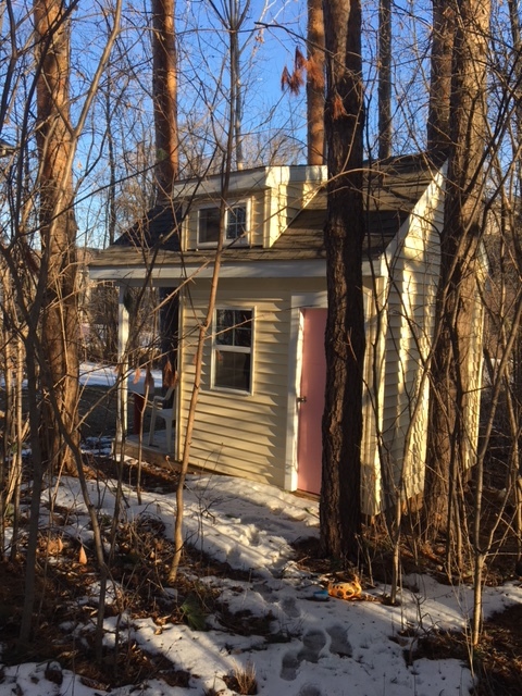 Tiny Cabin