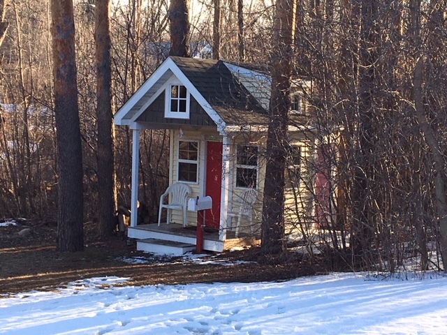 Tiny Cabin