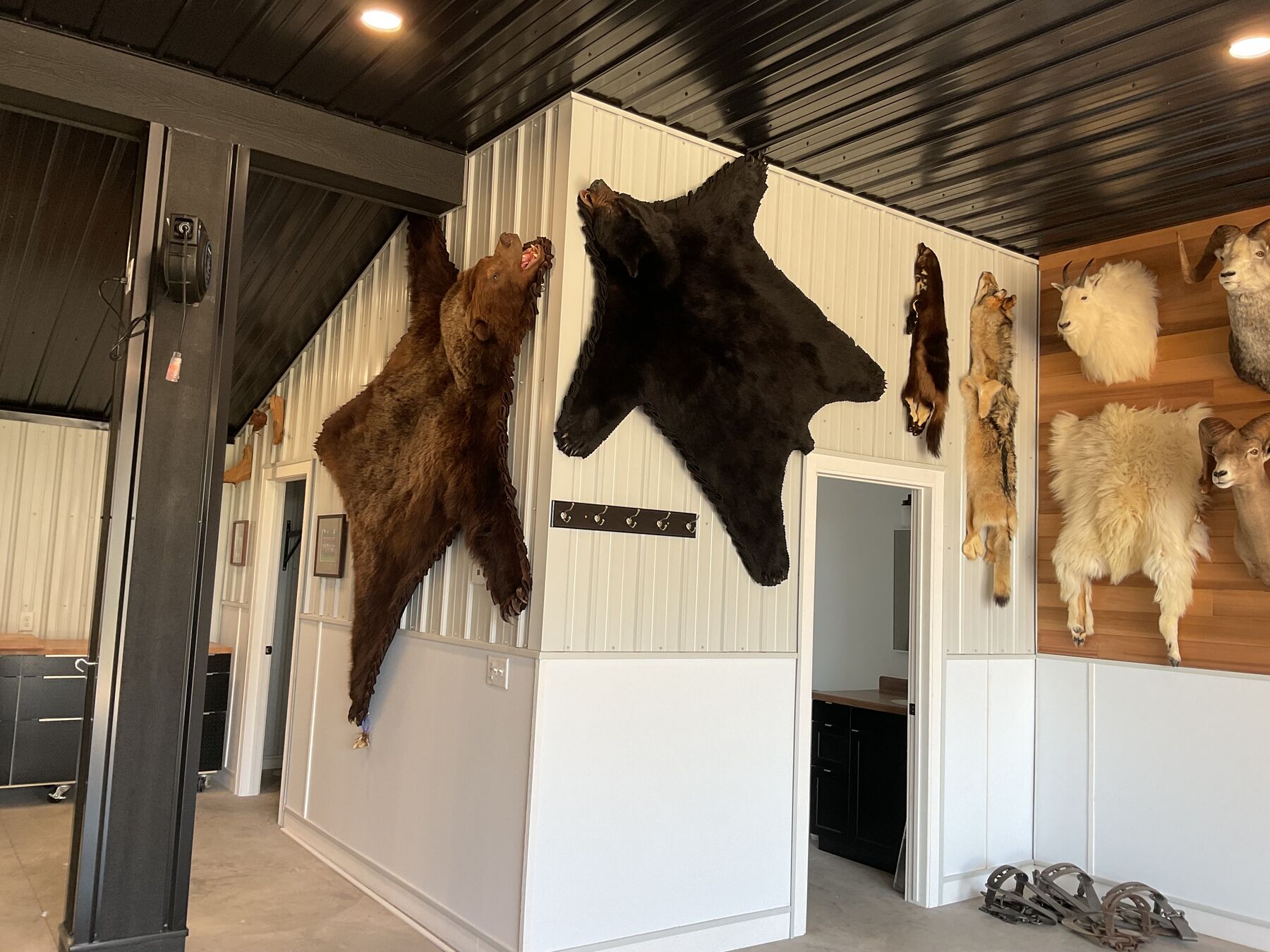 Shed Conversion