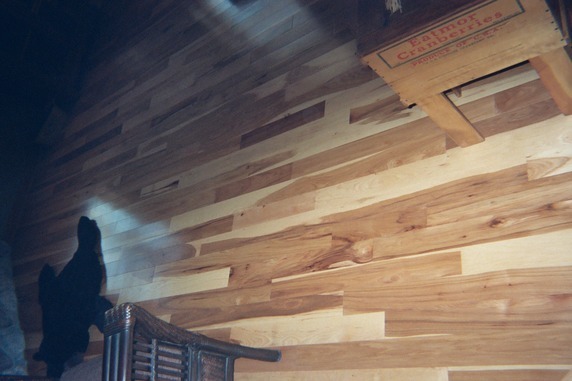 Log Siding Remodel 